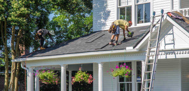 Professional Roofing Contractor in Loyola, CA